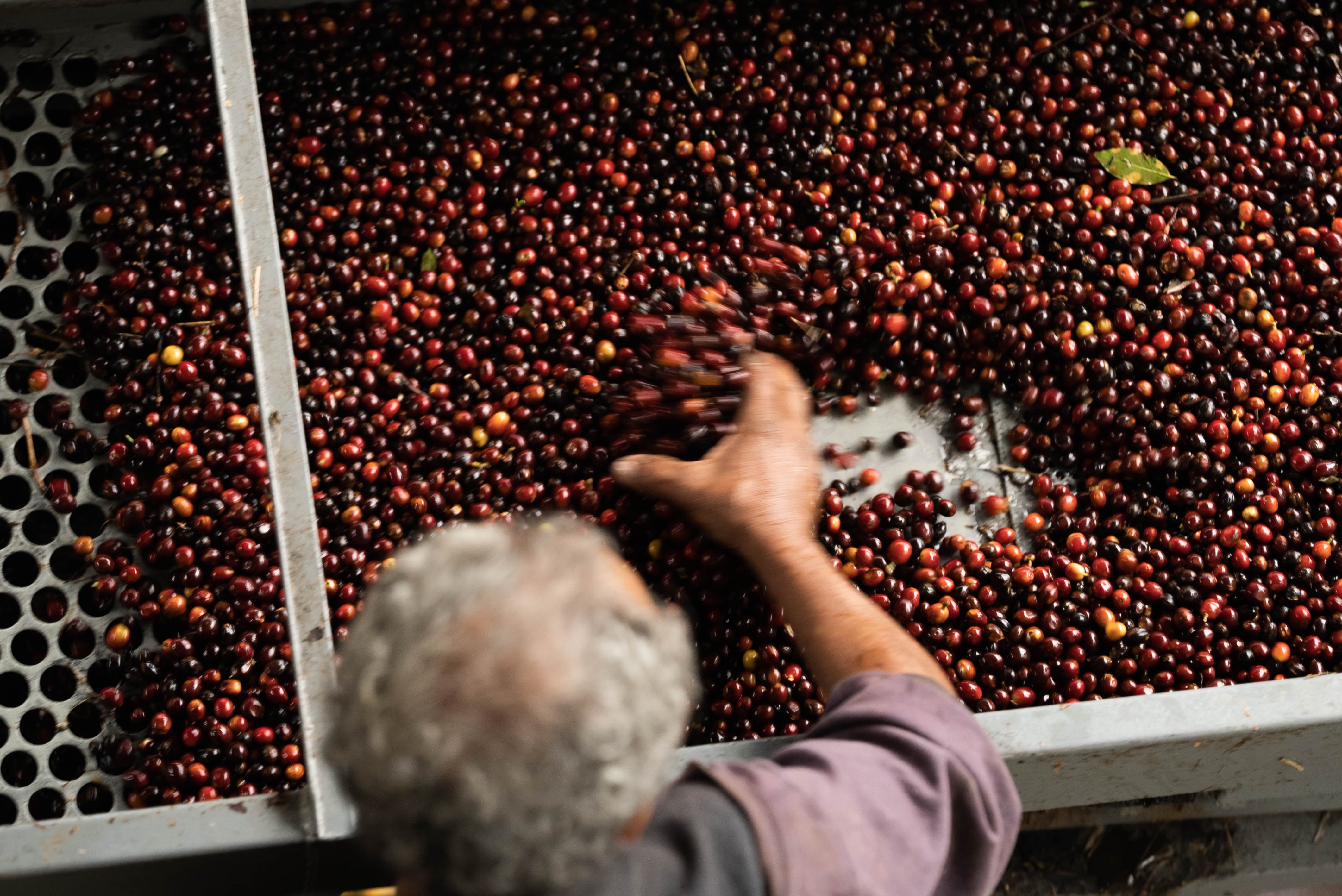 Guatemala “Orange Peel Process”