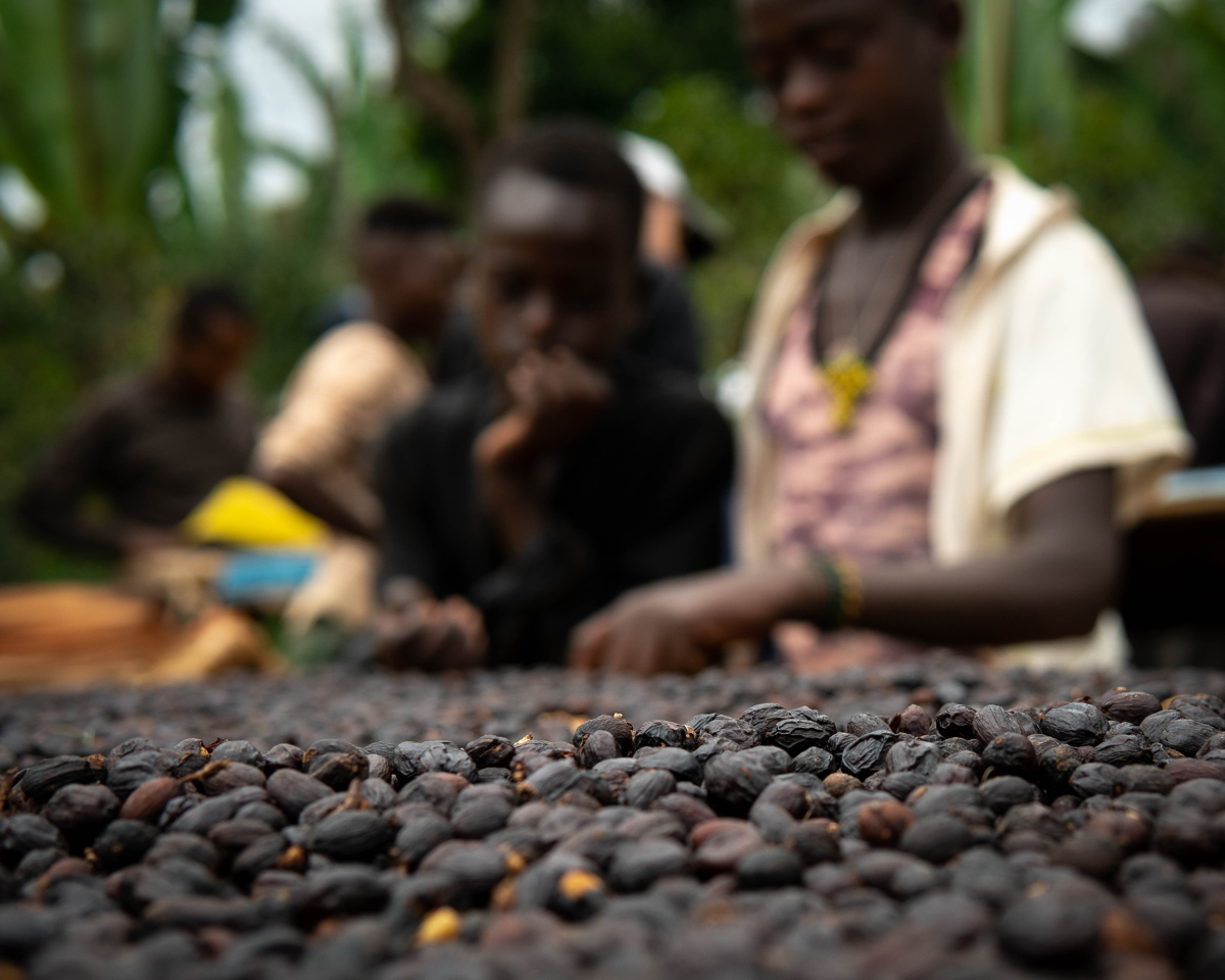Introducing Our Latest Ethiopian Gem: Guji Uraga Neja by Neja Fadil