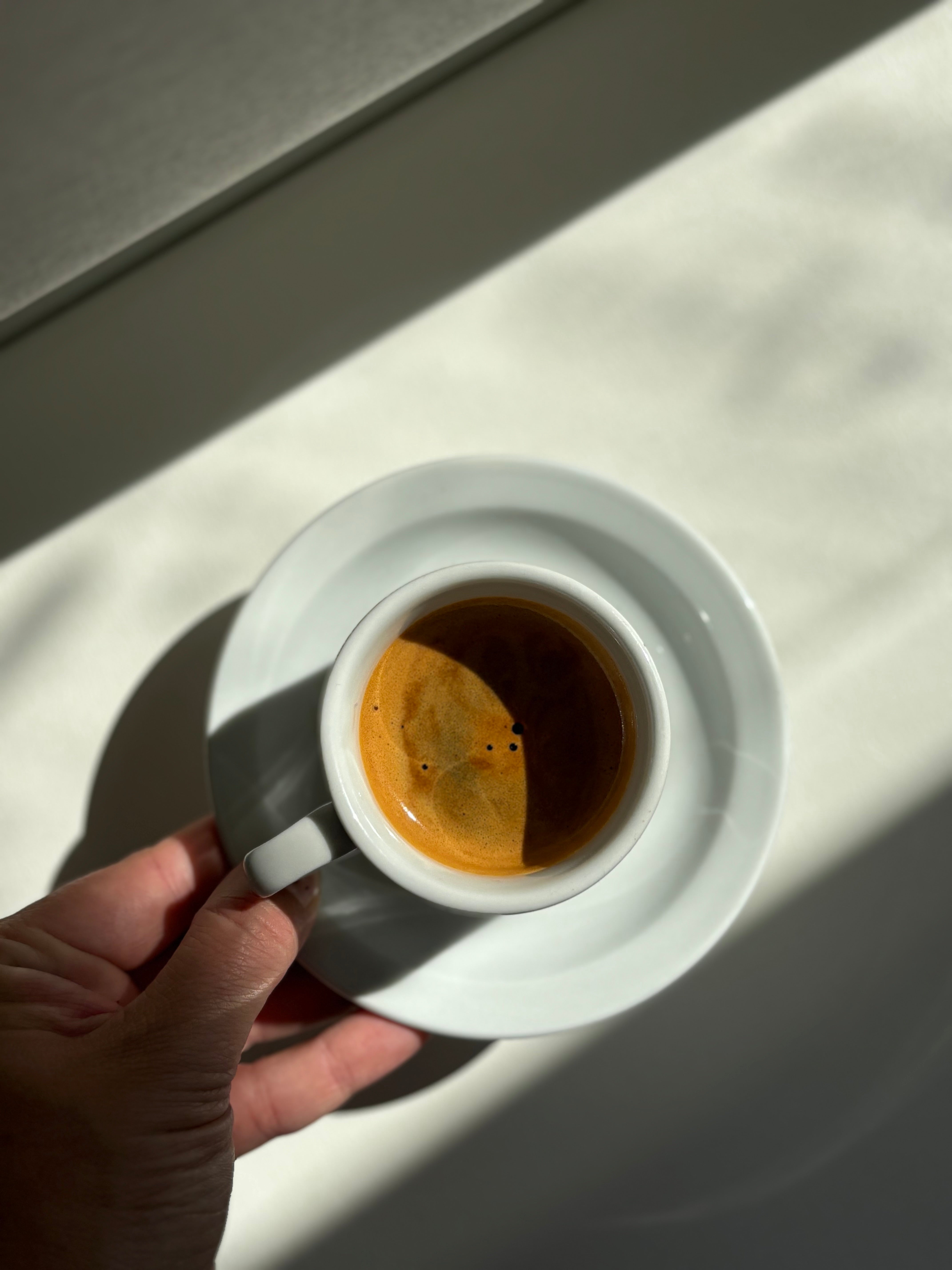 Sur Coffee Wholesale Tier 2