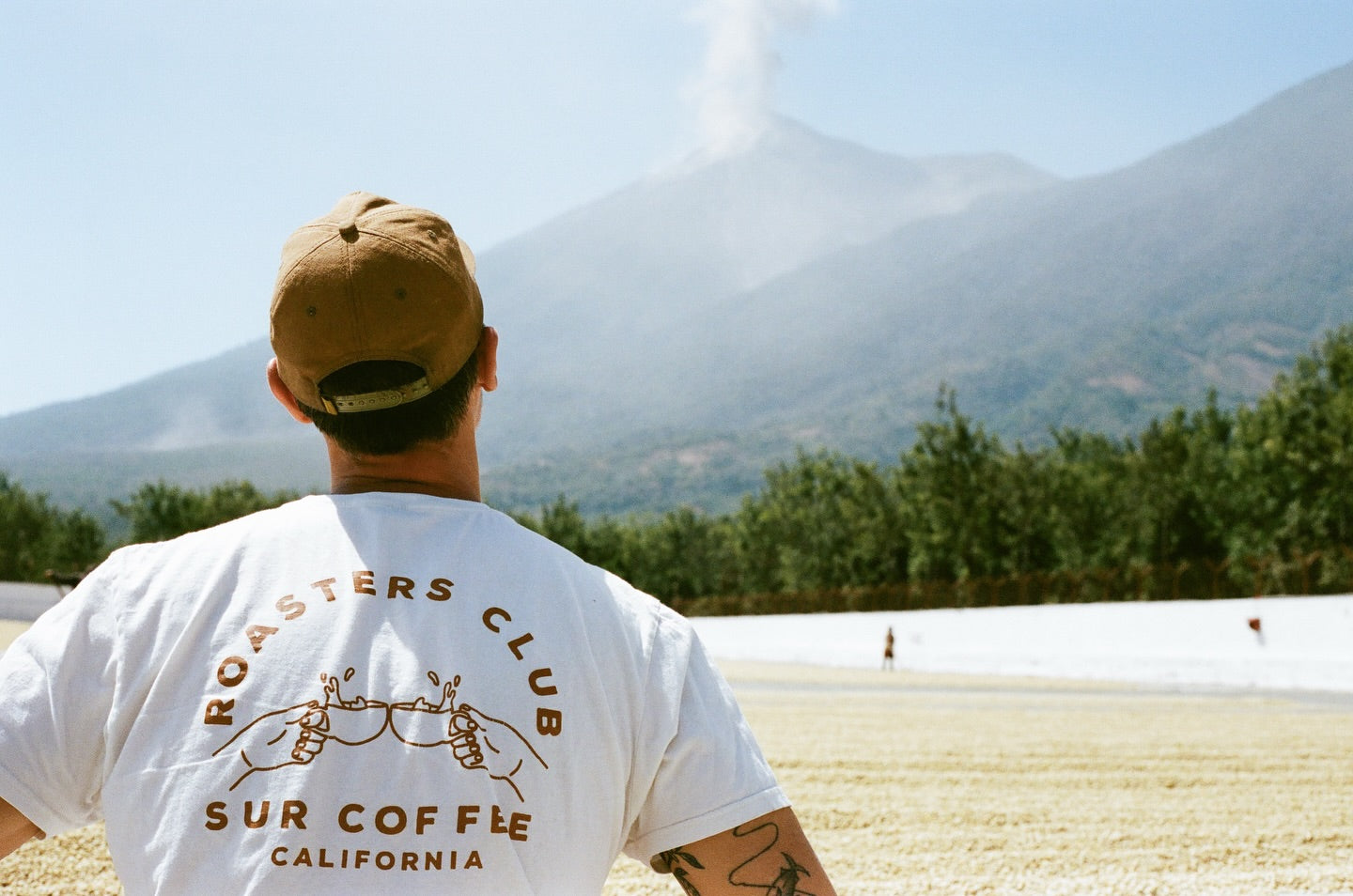 Person wearing a 'Roasters Club Sur Coffee California' t-shirt, standing with back to camera, looking at mountains.
